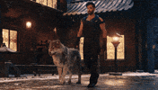 Bollywood GIF by Hrithik Roshan