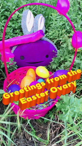 Easter Eggs GIF by I Heart Guts