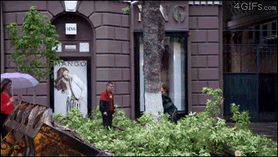 lucky GIF