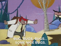 nickrewind nicksplat angry beavers GIF