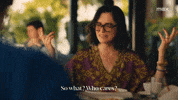 So What Who Cares GIF by HBO Max