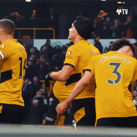 Premier League Football GIF by Wolves