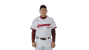 Kbo Sticker by Kiwoom Heroes Baseball Club