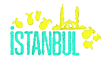 Ist Turkish Airlines Sticker