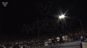 Sport Celebrate GIF by Vanderbilt Athletics