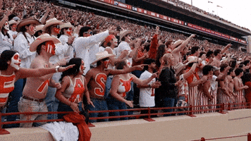 Texas Football Hook Em GIF by Texas Longhorns