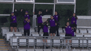 Cricket GIF by The Hundred
