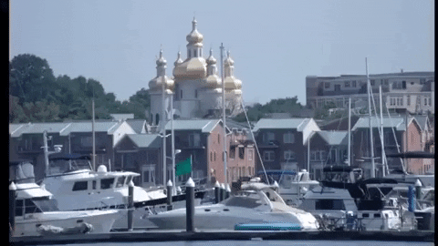 maryland GIF
