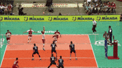 Group Hug Jump GIF by Volleyball World