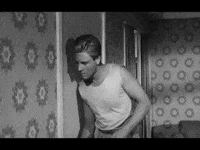 Invisible Man Cat GIF