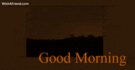 Good Morning GIF by wishafriend