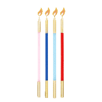 GiviItalia party birthday happy birthday candles Sticker
