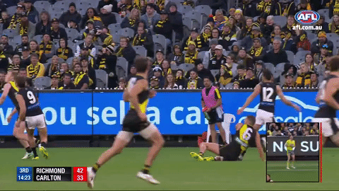 GIF by AFL