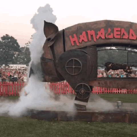 GIF by Bonnaroo Music and Arts Festival