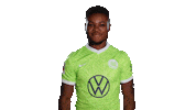 Three Points Win Sticker by VfL Wolfsburg