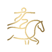 World Vaulting Sticker by CHIO Aachen