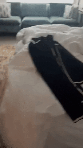 altselection giphyupload GIF