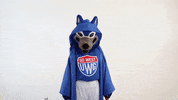 universityofwestgeorgia wolfie gowest maythe4th uwg GIF
