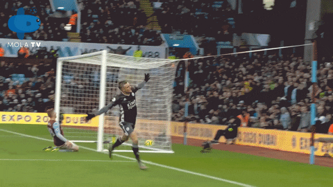 Leicester City Fly GIF by MolaTV