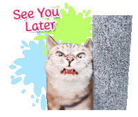 Cat Love Sticker