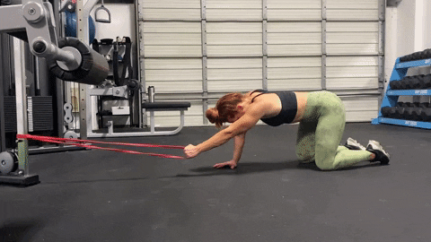 megsquats giphyupload GIF