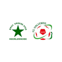 Sport Heerlen Sticker by Groene ster