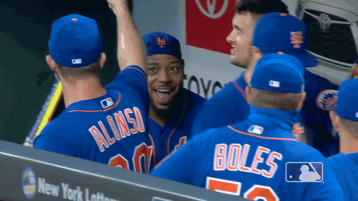 Happy Ny Mets GIF by New York Mets