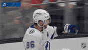 Celebrate Tampa Bay GIF by NHL