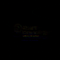 Agenciastart GIF by Start Branding