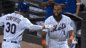 Happy Ny Mets GIF by New York Mets