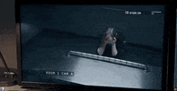 Confused Cbs GIF by Wolf Entertainment