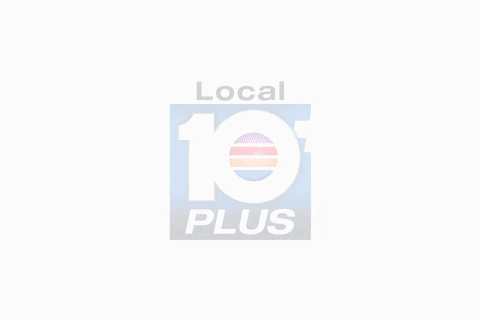 Local10news  GIF