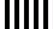 Celebration Goal GIF by SK Sturm Graz