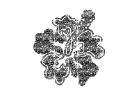 Domaniix Sticker