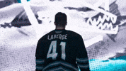 San Jose Celebration GIF by San Jose Barracuda