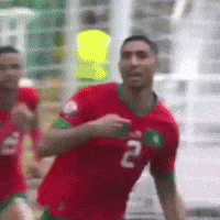 Morocco Hakimi GIF
