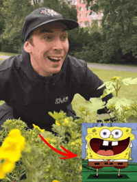 Cooper Ucitel GIF