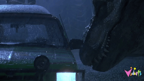GIF by Vidiots