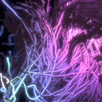 xponentialdesign loop lady daily arts GIF