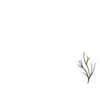 Flower Winter Sticker