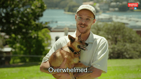 Happy Reality GIF by Married At First Sight
