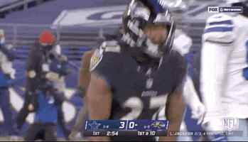 Baltimore Ravens Football GIF by NFL