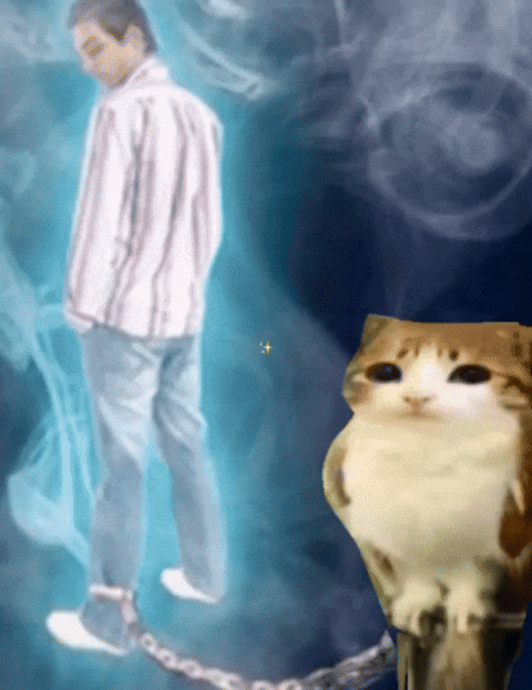 Twin GIF