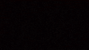 Evrim Ağacı GIF