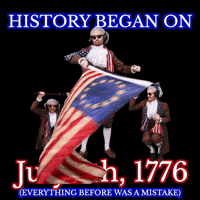 American Usa GIF