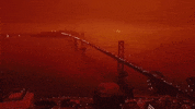 San Francisco Fires GIF by GIPHY News