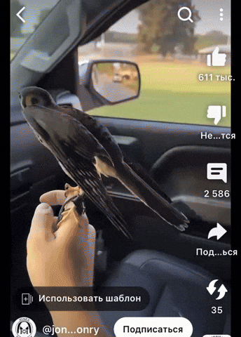 eruewyrigsafigsifgsifjgb giphyupload GIF