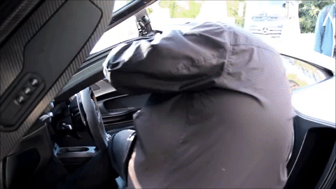 GIF by Tall Guys Free
