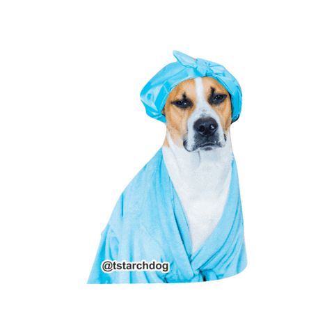 tstarch dog blue dogs chill Sticker