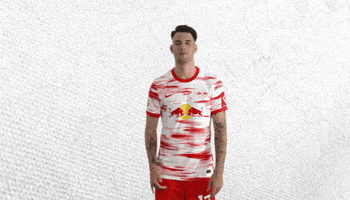 Champions League Football GIF by RB Leipzig